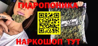 PSILOCYBIN Будённовск