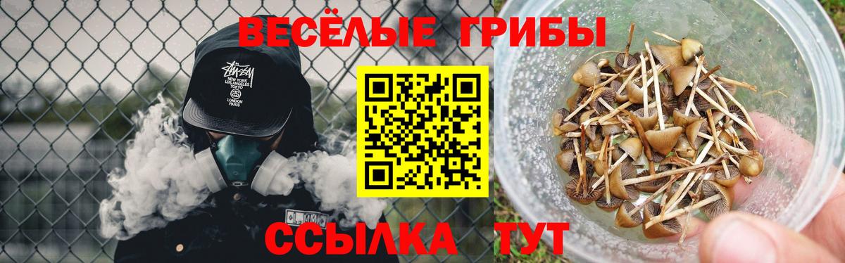 Псилоцибиновые грибы Psilocybe  Вход с VPN  Серпухов 